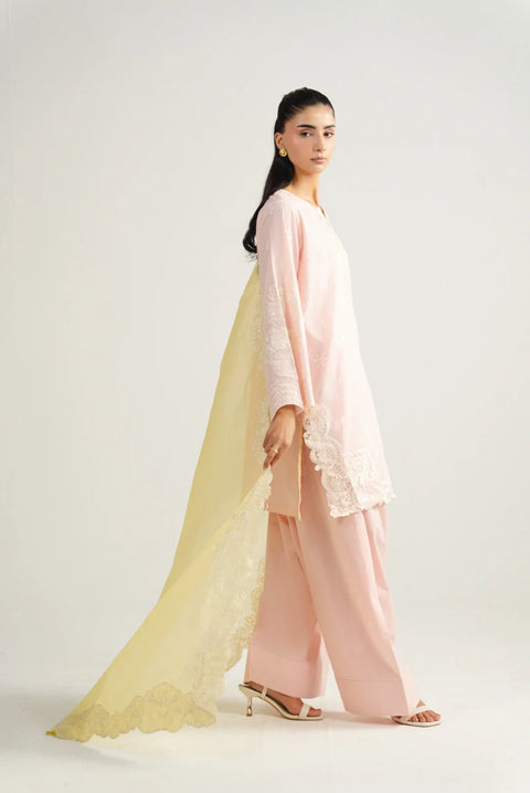 3 Piece Embroidered Lawn Suit